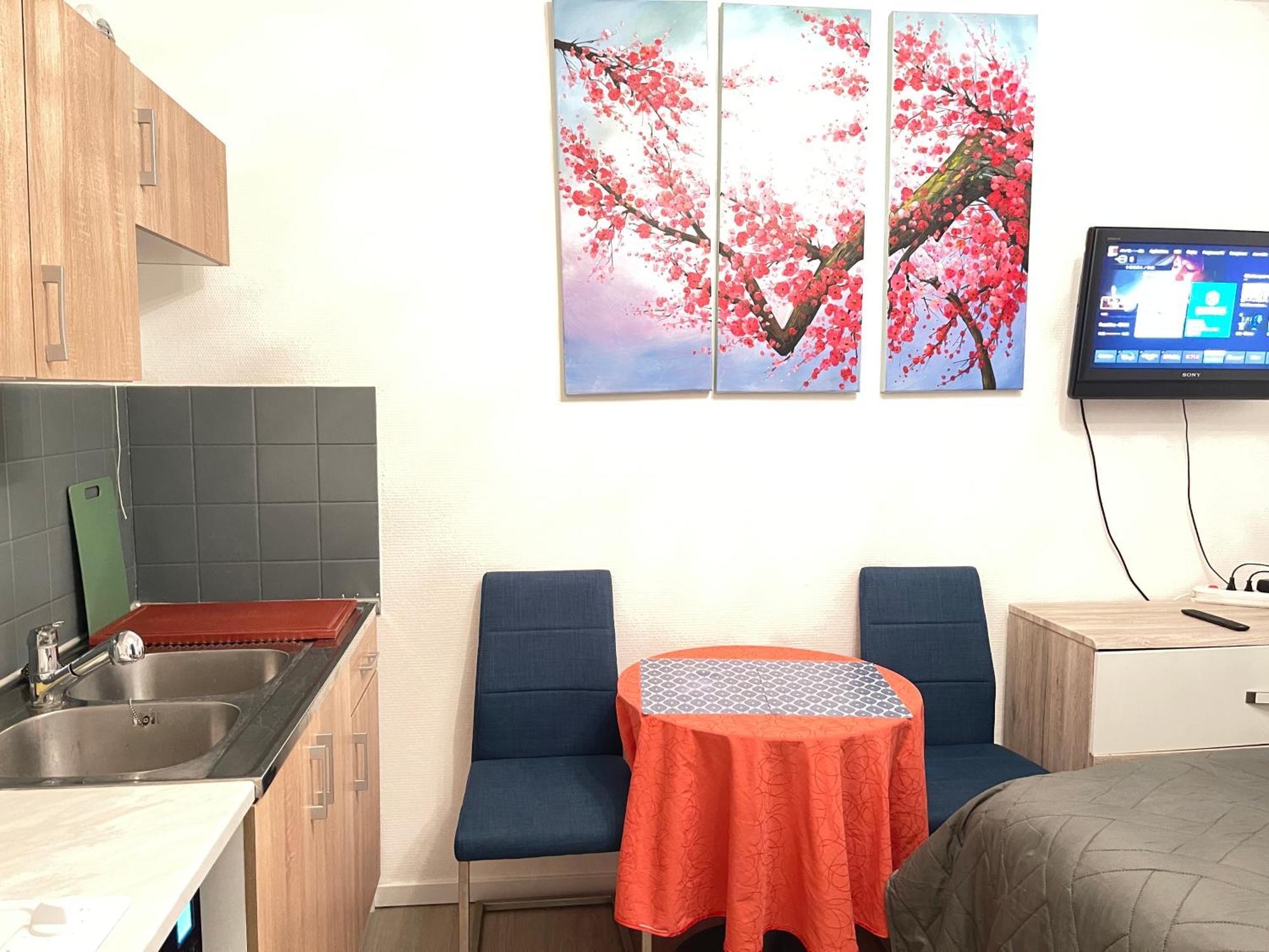 Top Studio Full Optional Saint Louis Vicino Stazione Saint Louis 68300 France Exterior photo