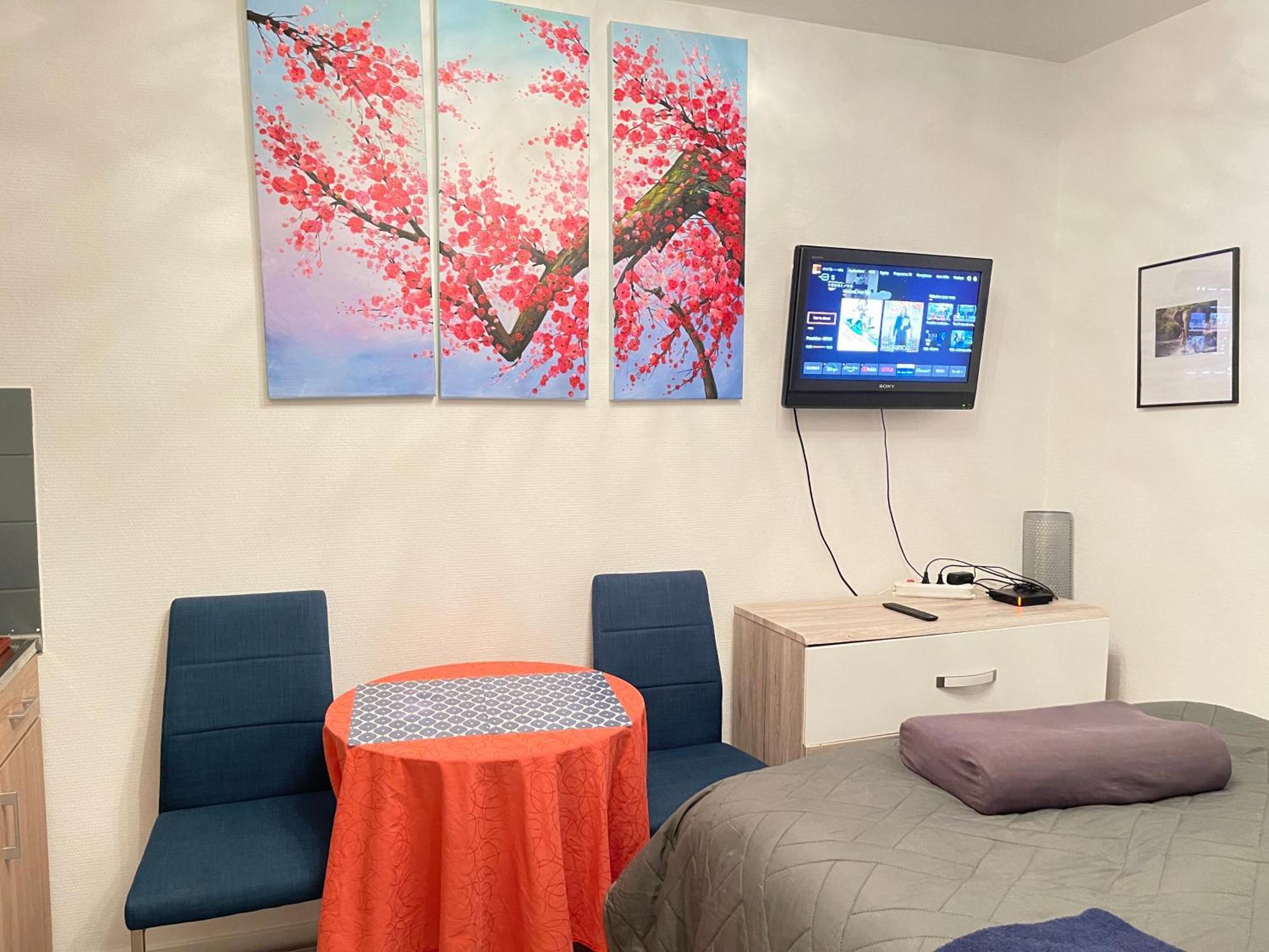 Top Studio Full Optional Saint Louis Vicino Stazione Saint Louis 68300 France Exterior photo