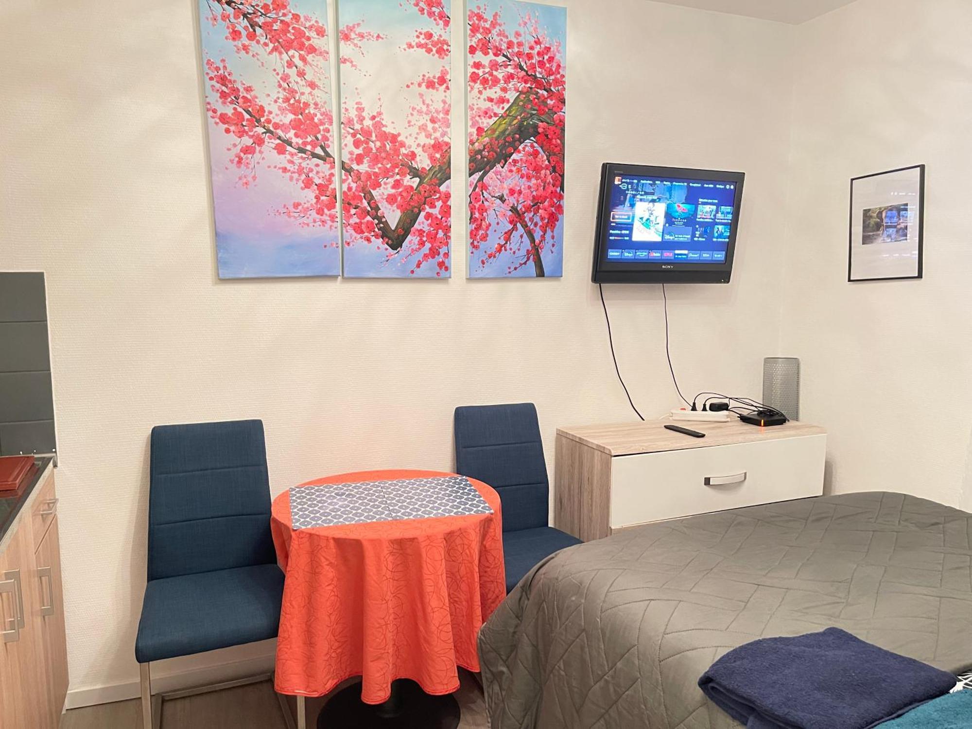 Top Studio Full Optional Saint Louis Vicino Stazione Saint Louis 68300 France Exterior photo